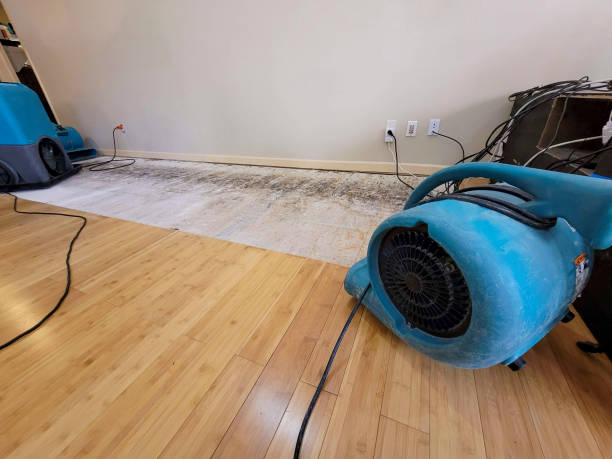 Professional Water Extraction technician working in Pilot Grove, MO